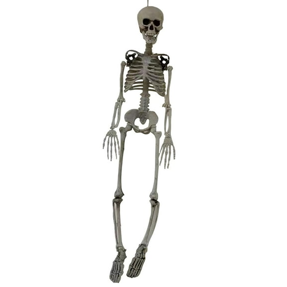 MOQIN Glow-in-Dark Poseable Skeleton Decor,Full-Size Human Bone Prop, Haunted House Layout, Hanging Halloween Display, Anatomical Science Decoration (40/70/90cm)
