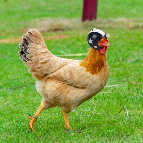 MORESEC Adjustable Chicken Helmet Hat with Elastic Strap for Pet Costume and Protection and Fun Party Decoration