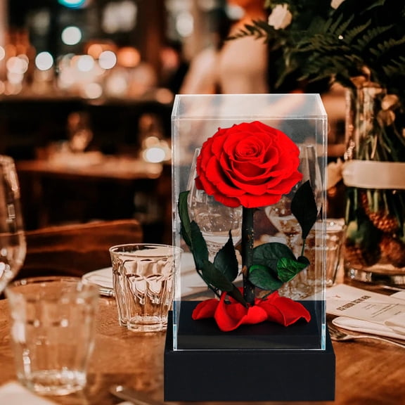 MORESEC XUld Home Preserved Real Rose in Acrylic Display Case Eternal Flower Gift for Women Anniversary Valentine's Day Keepsake 3-5 Year Freshness 8.3x4.74x4.74 Inch Home