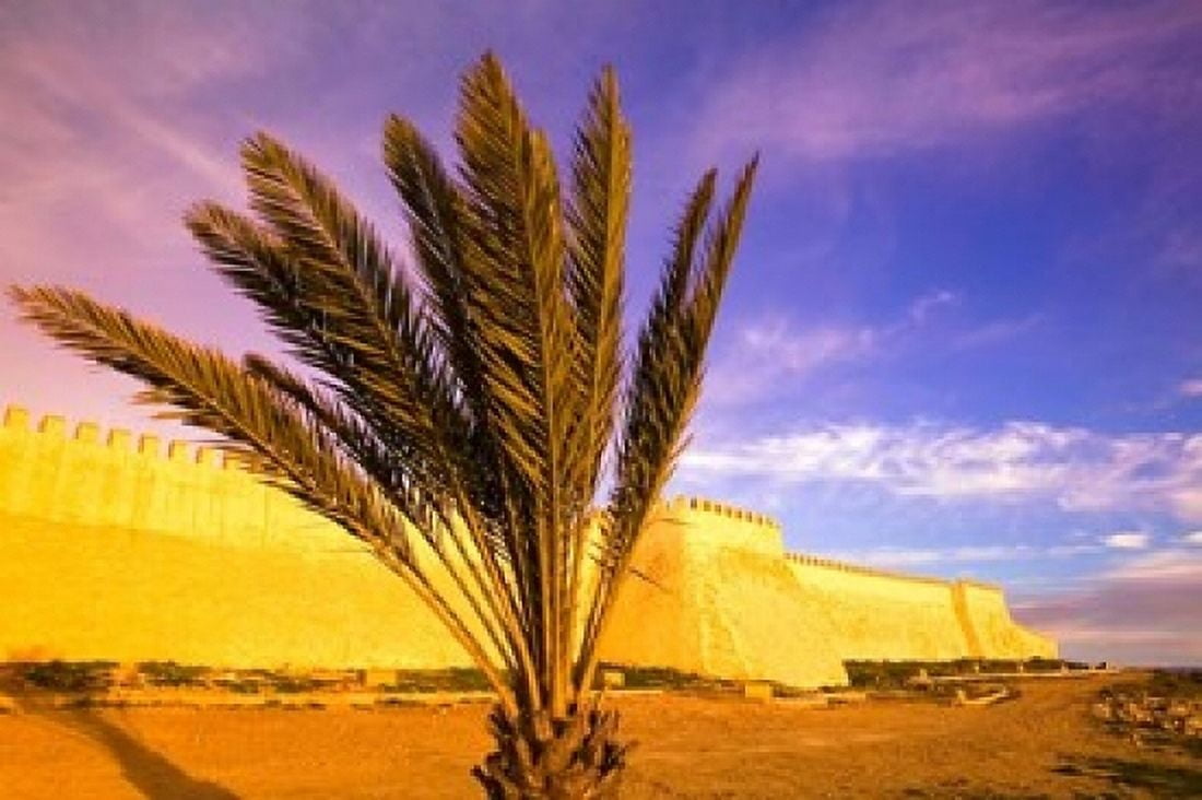 MOROCCO AGADIR Ancient Kasbah Fort Walls Canvas Art - Walter Bibikow DanitaDelimont (36 x 24)