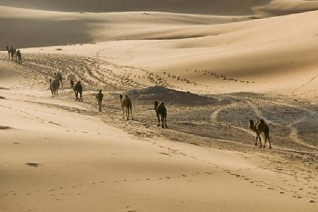 MOROCCO Tafilalt Camel Caravan Erg Chebbi Dunes Canvas Art - Walter Bibikow DanitaDelimont (17 x 11)