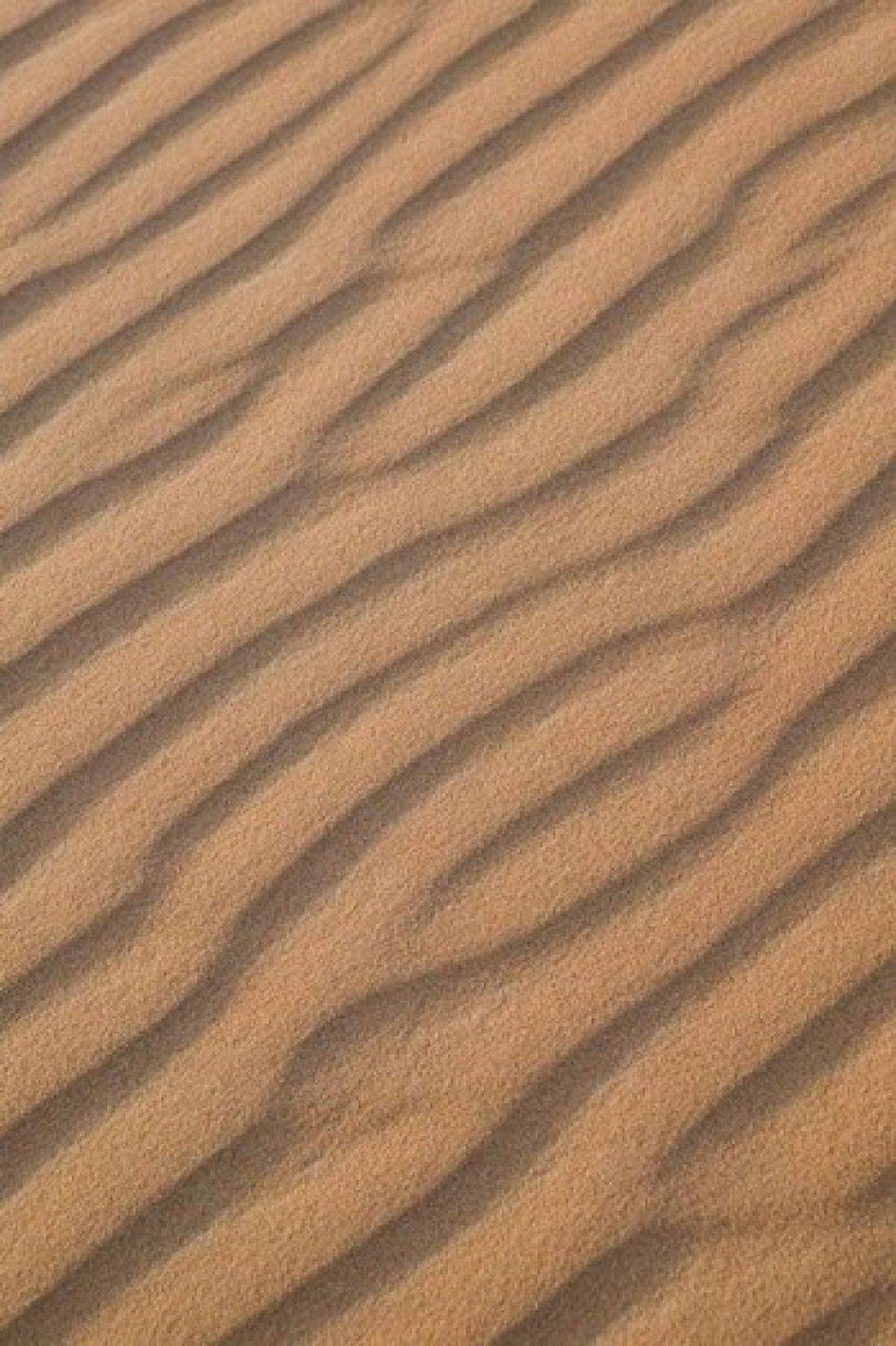 MOROCCO Tafilalt Erg Chebbi Dunes Sand pattern Canvas Art - Walter Bibikow DanitaDelimont (11 x 17)