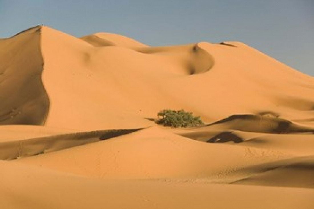 MOROCCO Tafilalt MERZOUGA Erg Chebbi Desert Canvas Art - Walter Bibikow DanitaDelimont (34 x 23)
