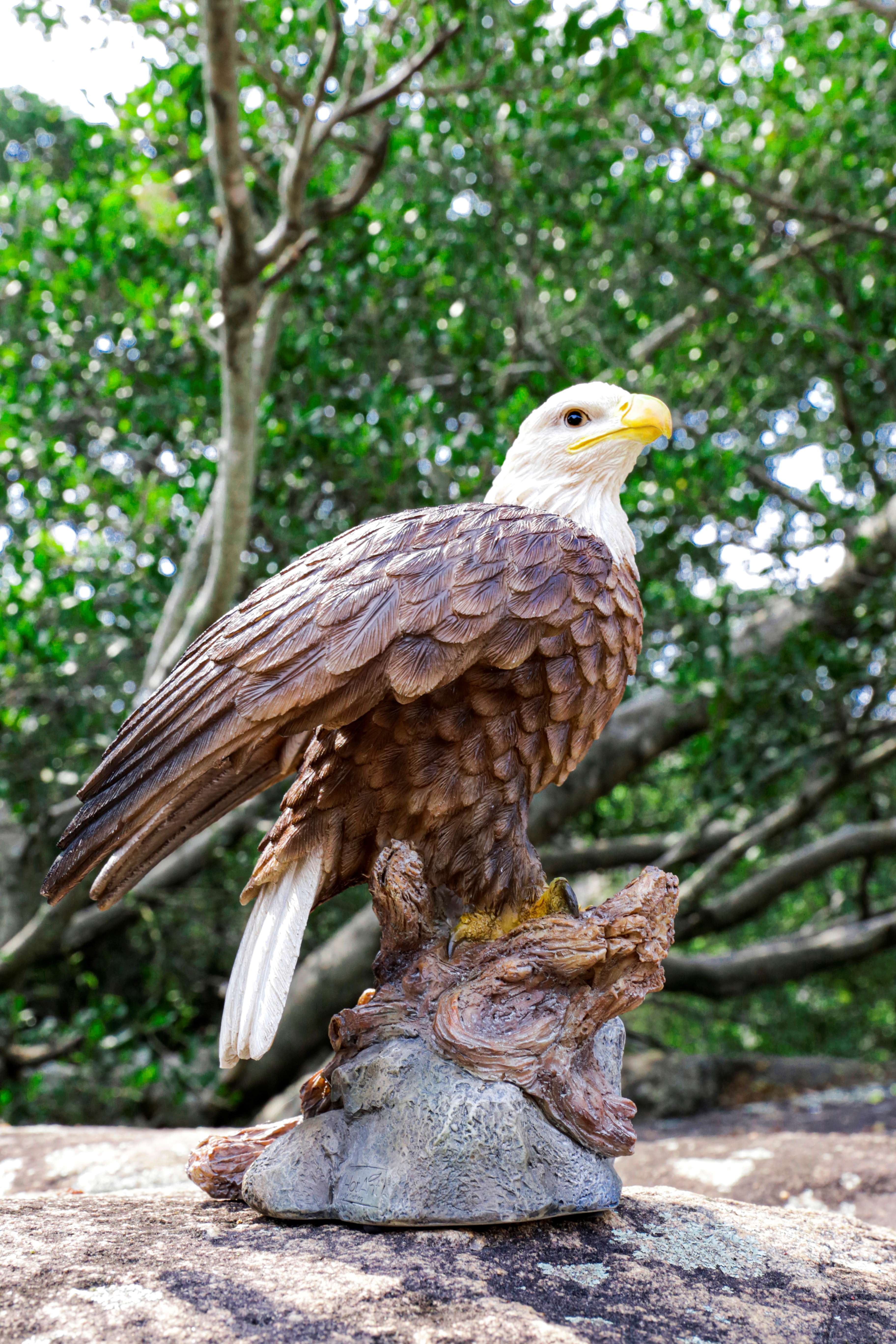Hi-Line Gift Ltd. Motion Activated Singing Eagle