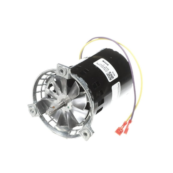 MOTOR IDF 1/230V 1/15 3200 1177798 - Genuine OEM Replacement Part