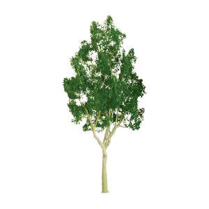 MOUNTAIN GUM 4'' PRO 2/pk
