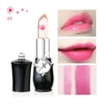 MOVAWAKY Lip Liner Clear Lip Plumping Lip Gloss Profusion Cosmetics
