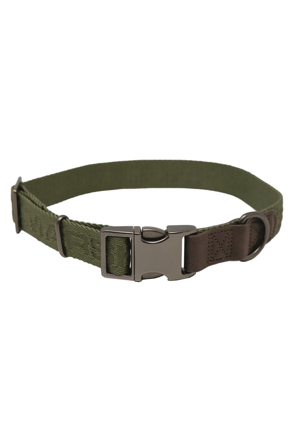 Adjustable Dog Collar Cypress Green