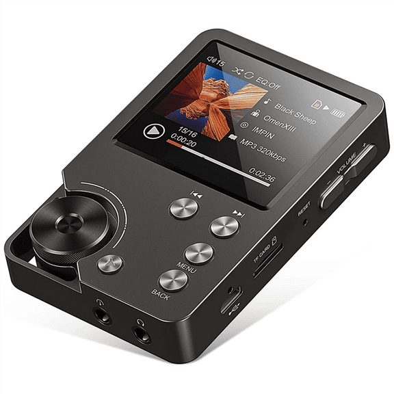 MP3 Player, Lossless DSD High Definition Portable Hi-Fi Digital Audio Music Player with 64GB Memory Card