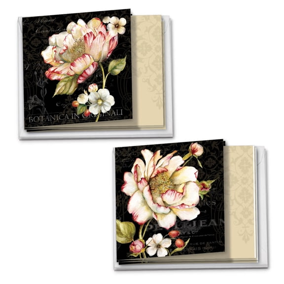 MQ4610OCB-B6x2 Botanica: 12 Assorted, Blank Square-Top, All Occasions Cards Featuring Finely Detailed Image of White Rose Against a Black Background with Envelopes by The Best Card Company