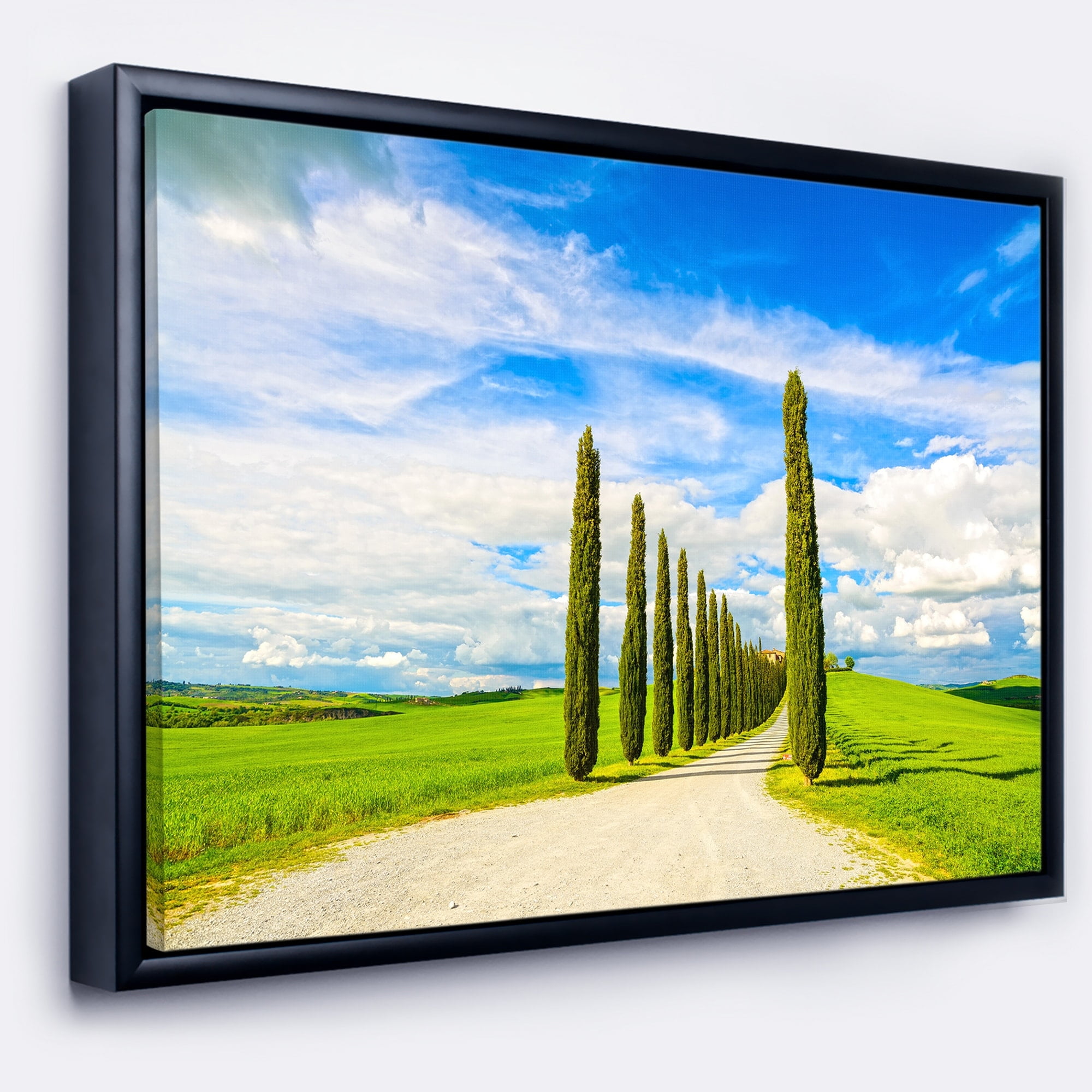 DESIGN ART Designart 'White Road through Cypress Trees' Landscape