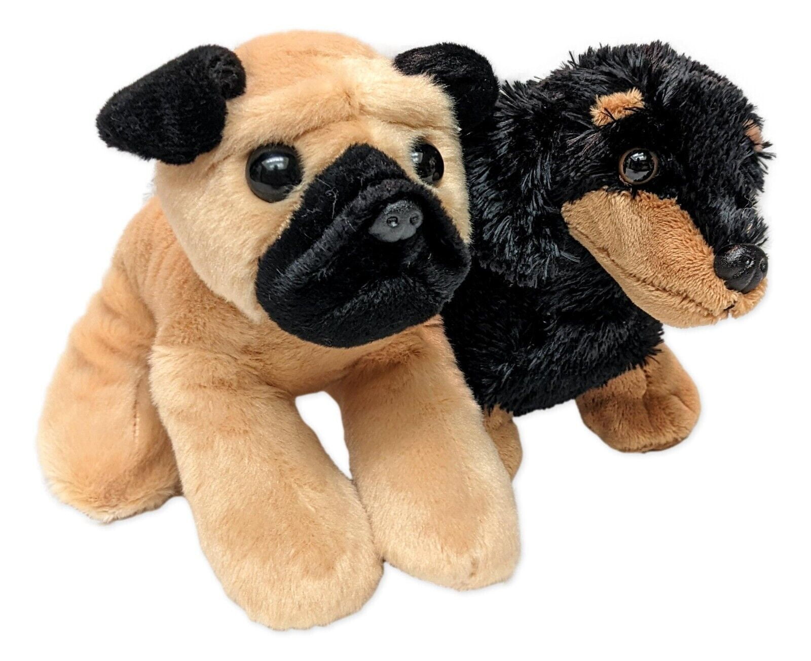 Aurora pug hotsell