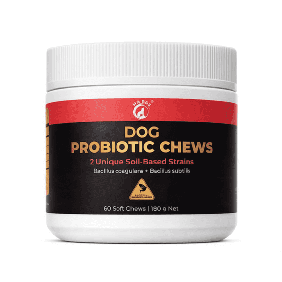 Mr Ros Constipation Relief Probiotic Soft Chews for Dog, Salmon Flavor, 60 Count Jar