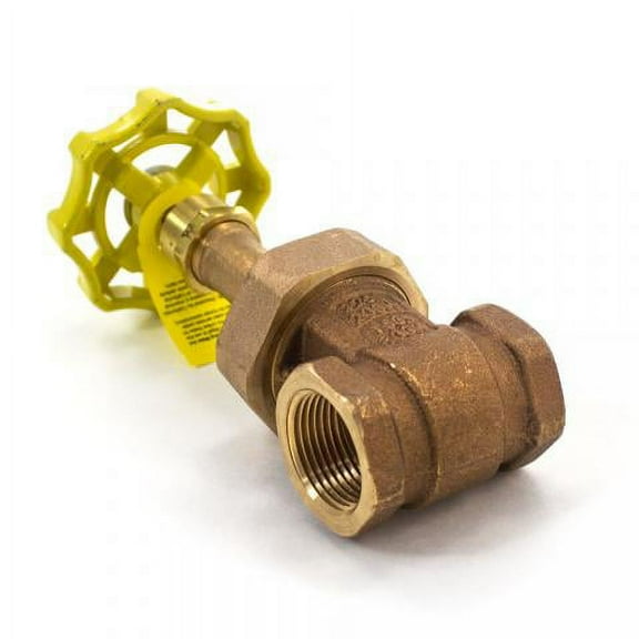 MR Steam VALVE 1" GATE STEAM