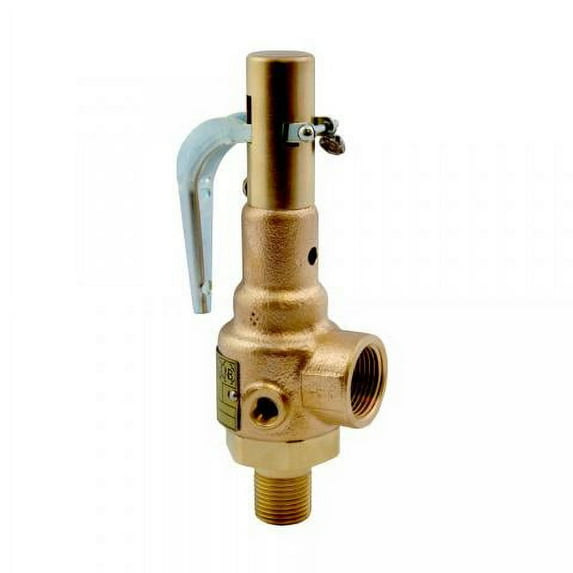 MR Steam VALVE SAFETY 15PSI 3/4" SEC I