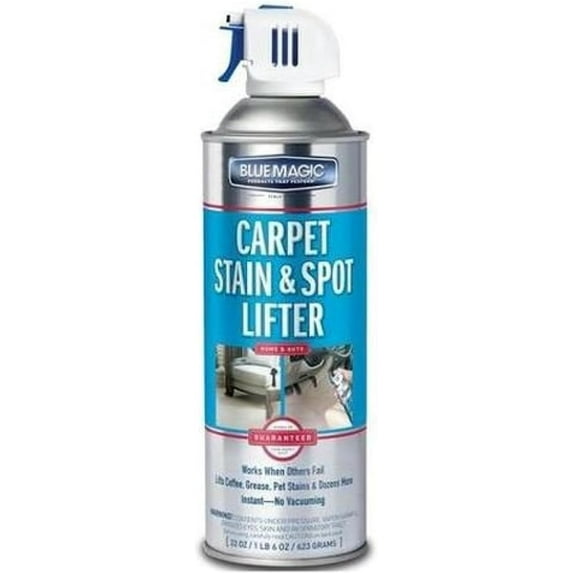 900 Carpet Stain & Spot Lifter - 22 oz. Aerosol Can
