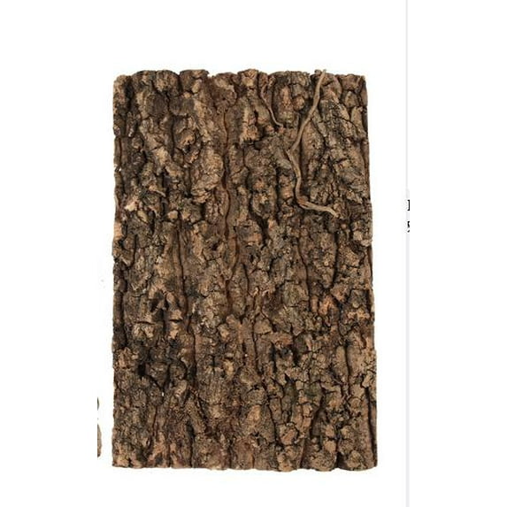 Tree Bark Terrarium Background for Reptile Climbing and Hiding 1 Set Terrarium Bark Material Feeding Box Bark