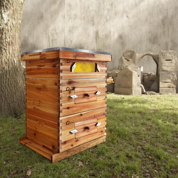 MROOBEST 10-Frame Bee Hive Coated with Beeswax Complete Kit for Beginners Includes 2 Deep Boxes and 1 Medium Bee Box with Frames and Wax Foundations