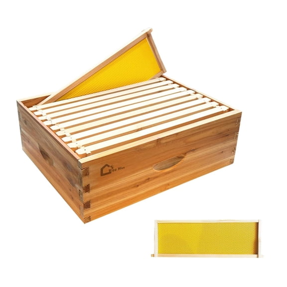 MROOBEST |6656|All-Inclusive 10 Frame Bee Hive Set Beeswax Coated Frames & Wax Foundations Included Perfect Starter Kit for Beekeeping Enthusiasts|