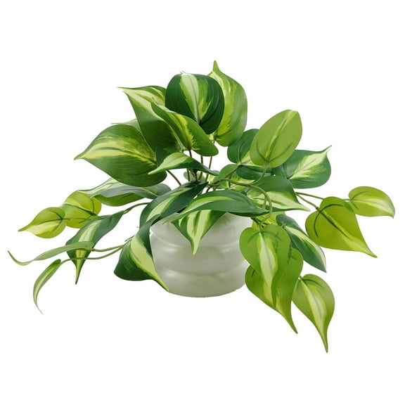 Mainstays 9'' Indoor Artificial Pothos with Bubble Vase, White Ceramic Vase, Green Pothos