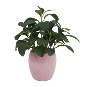 Mainstays 11-Inch Artificial Peperomia Plant in Pink Ribbed Glazed Ceramic Pot