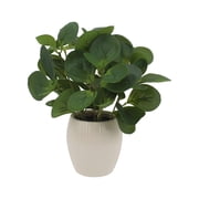 Mainstays 11-Inch Artificial Peperomia Plant in White Ribbed Glazed Ceramic Pot