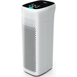 Ionic air purifier walmart discount