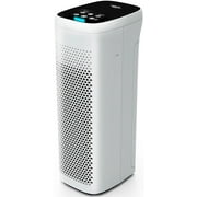 Ionizer air store purifier walmart