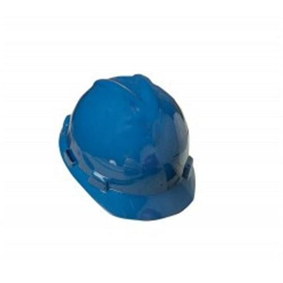 Clearance Item !!!
MSA V-Gard Slotted Cap, Blue w/ Fas-Trac Suspension, Large (7 - 8 1/2)