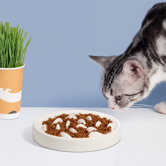 MSBC Non-Slip Habitat Mounted Large Melamine Slow Feeder Bowl for Dogs, White