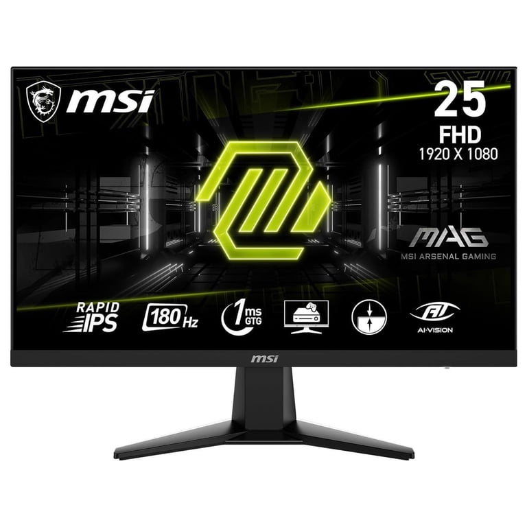 MSI MAG 256F 25インチ モニター MSI MAG 256F 25
