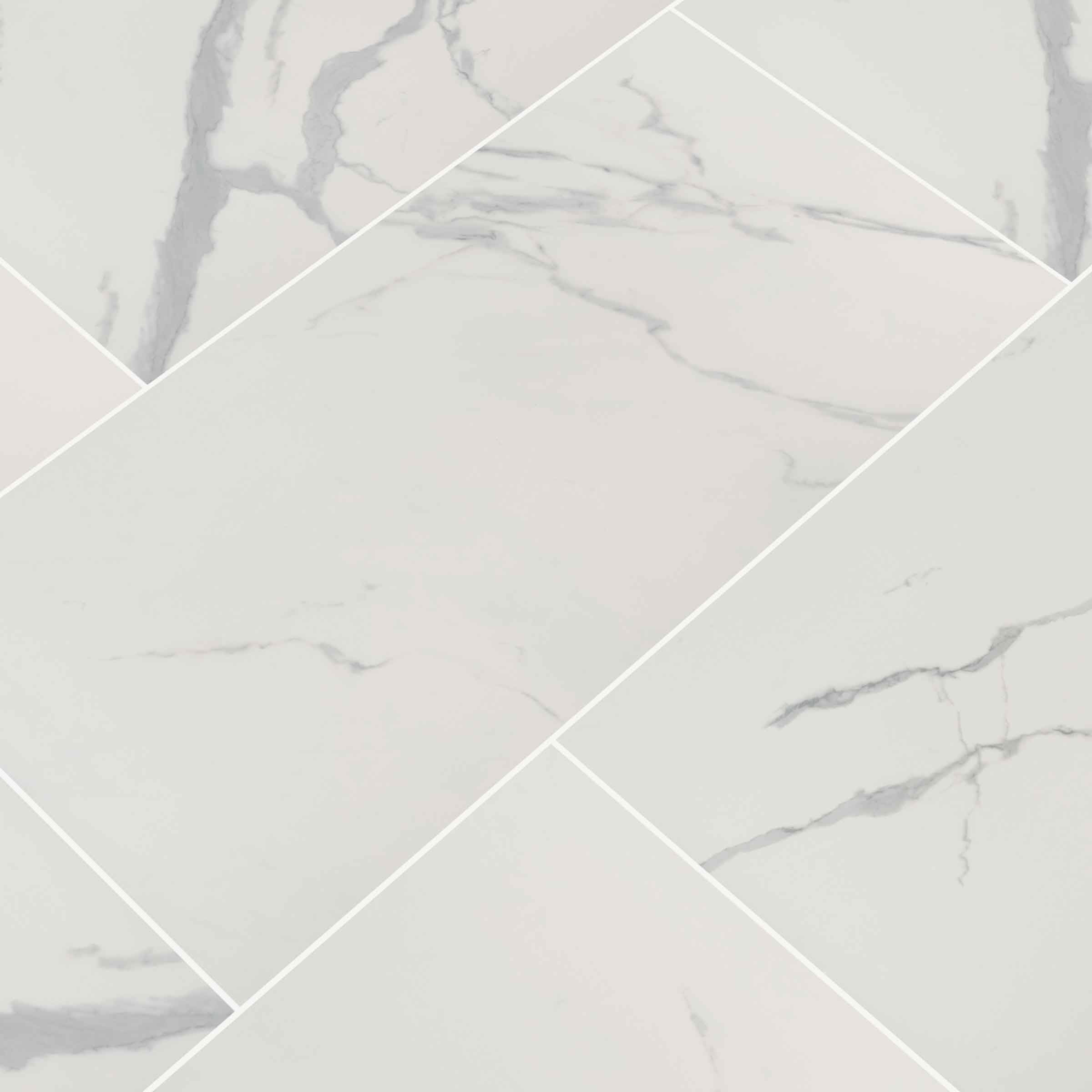 MSI Eden Statuary 24 In. X 48 In. Polished Porcelain Floor And Wall