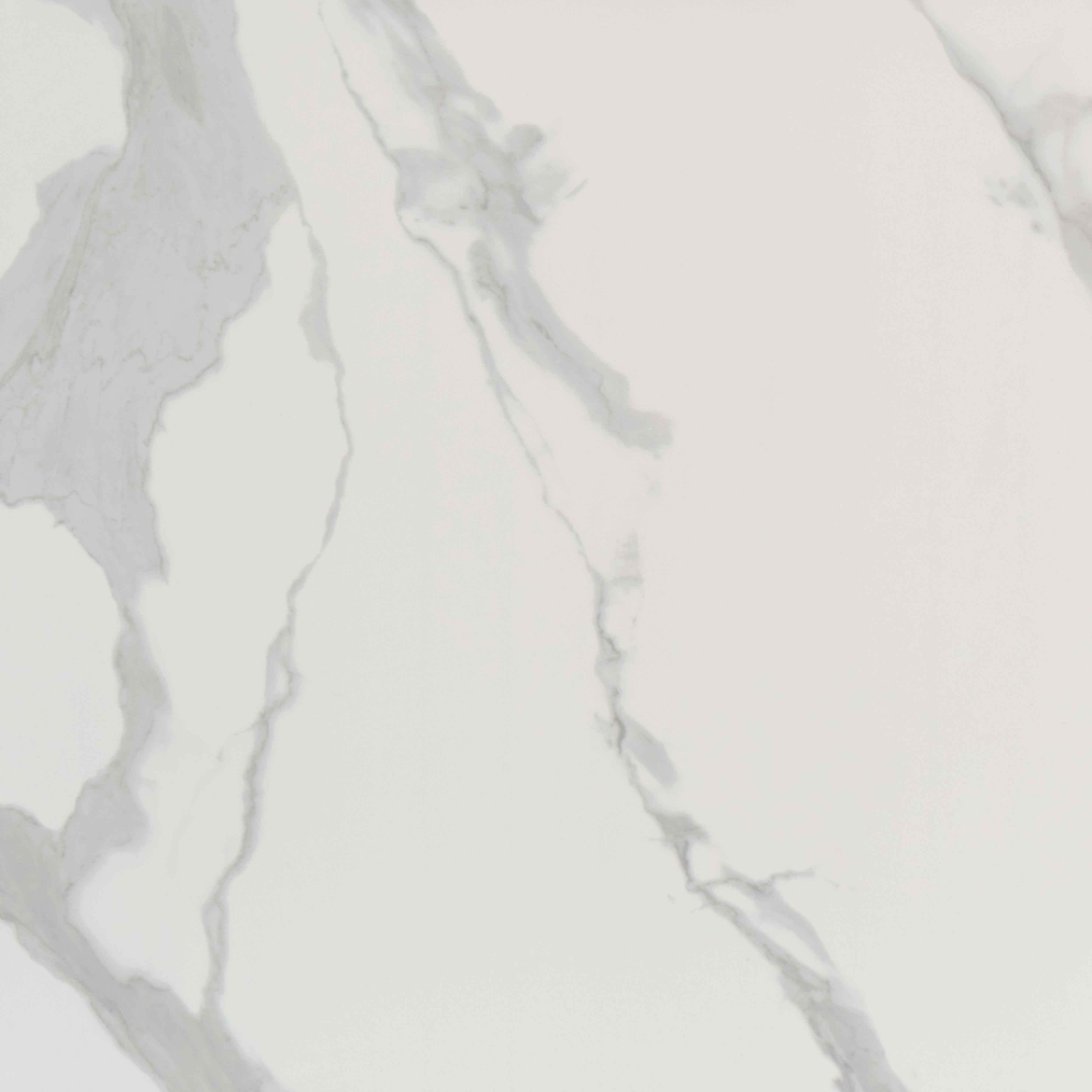 MSI Eden Statuary 32 In. X 32 In. Polished Porcelain Floor And Wall