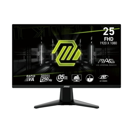 MSI MAG 255XFV 24.5" 16:9 Full HD 250Hz VA LED HDR Gaming Monitor, Metallic Black