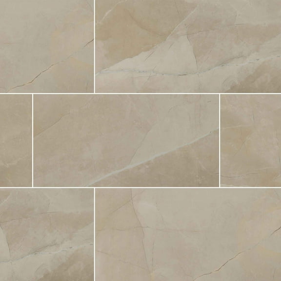 MSI Sande Cream 24X 48 Matte Porcelain Field Tile