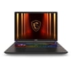 MSI Vector 16
