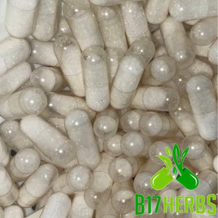 MSM & Glucosamine | 50:50 Ratio | Joint Health | Flexibility - Collagen - B17 Herbs Bulk Purchase - 300 Veg. Caps