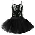 thumbnail image 1 of MSemis Girls Tops with Mesh Skirt Gymnastics Costume Ballet Leotards Tutu Dress, 1 of 5