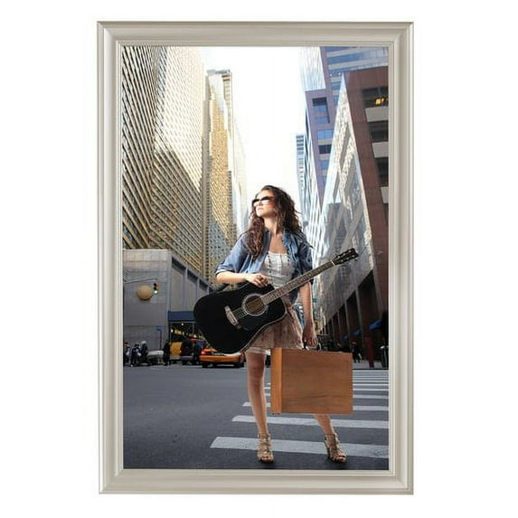 MT Displays Fancy Picture Frame