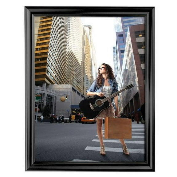MT Displays Fancy Picture Frame