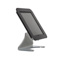 thumbnail image 1 of MT Displays Kiosk iPad Holder Accessory, 1 of 4