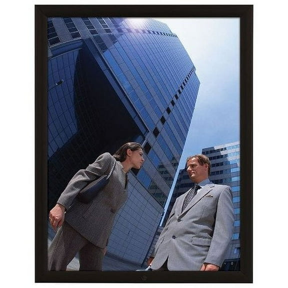 MT Displays Lockable Weatherproof Frame