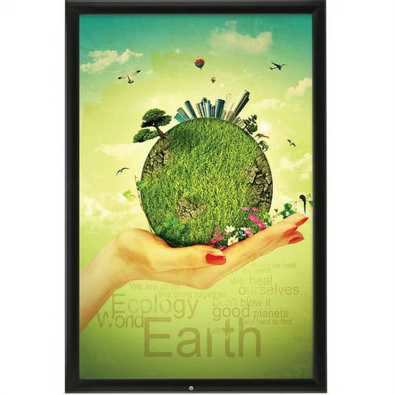 MT Displays Lockable Weatherproof Picture Frame