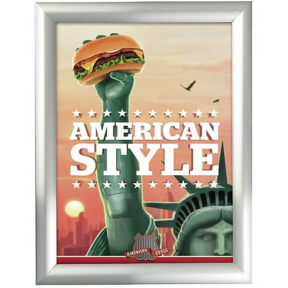 MT Displays Security Snap Picture Frame