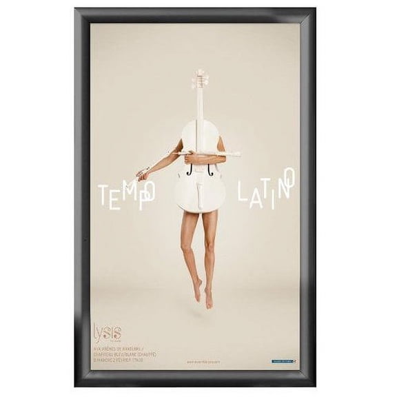 MT Displays Snap Frame