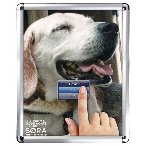 MT Displays Snap Frame