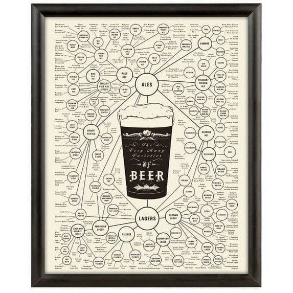 MT Displays Snap Frame