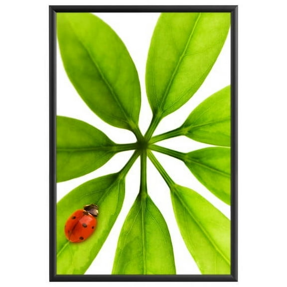 MT Displays Weatherproof Picture Frame