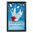 thumbnail image 1 of MT Displays Window Picture Frame, 1 of 6