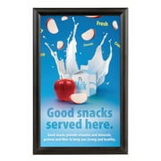 MT Displays Window Picture Frame